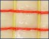Red-Longchain-Yellow-Rubber polyester meat netting